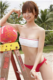 金花瓶双梅花2开